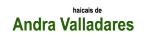 18 Andra Valladares 300x81 - Cidade do Haicai, encontre teu selo