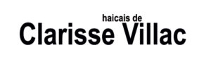 47 Clarisse Villac 300x81 - Cidade do Haicai, encontre teu selo