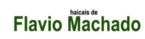 41 Flavio Machado 300x81 - Cidade do Haicai, encontre teu selo
